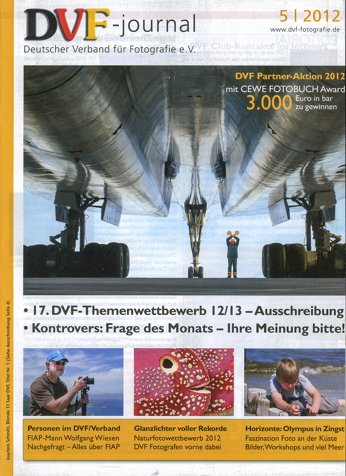Joachim Schmitt Der letzte machts Licht aus als Titelblatt des DVF-Journal