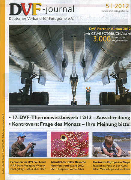 Joachim Schmitt Der letzte machts Licht aus als Titelblatt des DVF-Journal